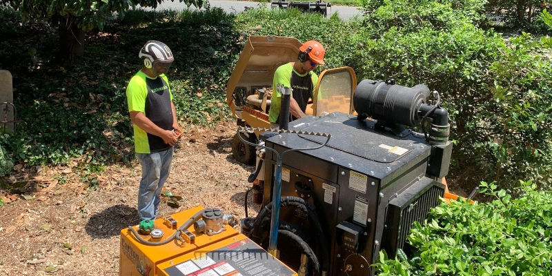 Tree Stump Removal Service in Winston-Salem, North Carolina