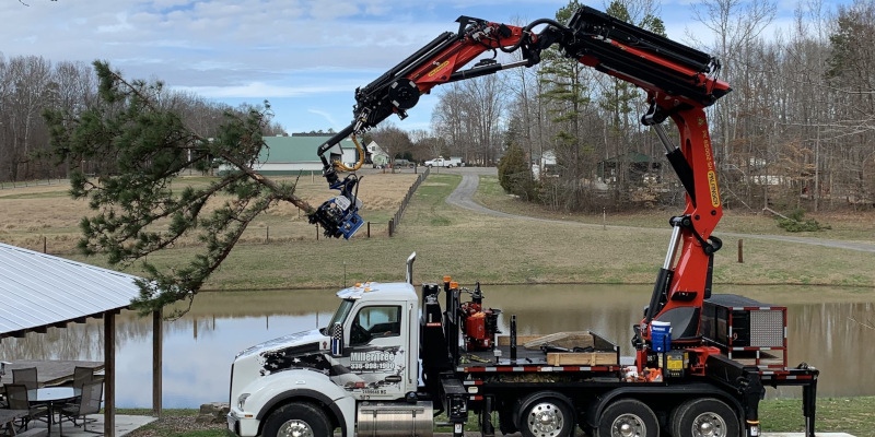 Emergency Tree Removal in Clemmons, North Carolina