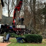 Tree Removal Prices in Lexington, North Carolina