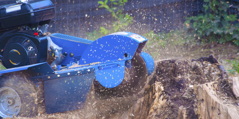 Stump Grinding: The Benefits Exceed the Aesthetic Advantage
