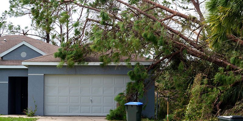 What Qualifies as an Emergency Tree Service?
